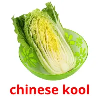 chinese kool Bildkarteikarten