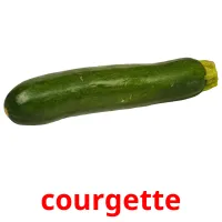 courgette Bildkarteikarten