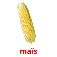 maïs card for translate