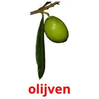 olijven Bildkarteikarten