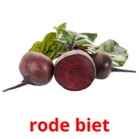 rode biet Bildkarteikarten