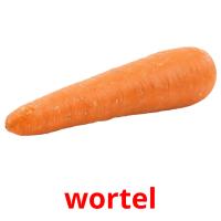 wortel Tarjetas didacticas