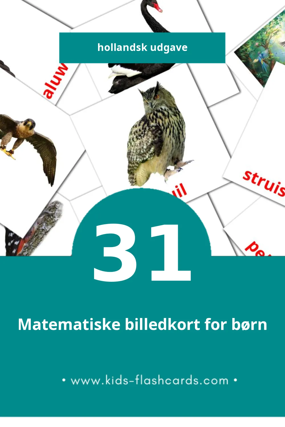 Visuelle billedkort for børn om Vogels til småbørn (31 kort på Hollandsk)
