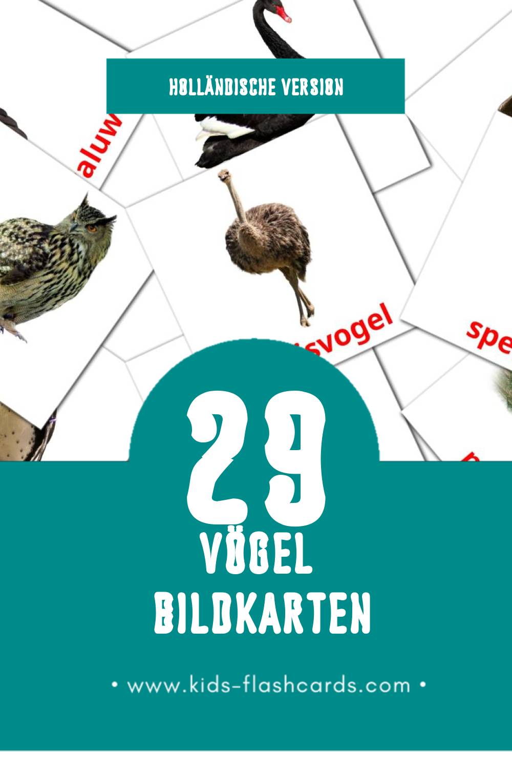 Visual Vogels Flashcards für Kleinkinder (29 Karten in Holländisch)