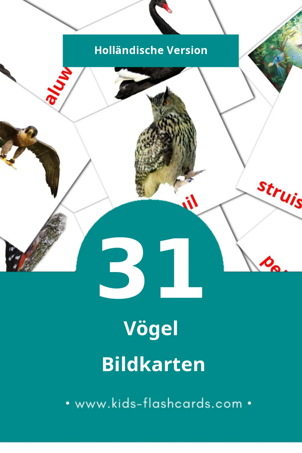 Visual Vogels Flashcards für Kleinkinder (31 Karten in Holländisch)