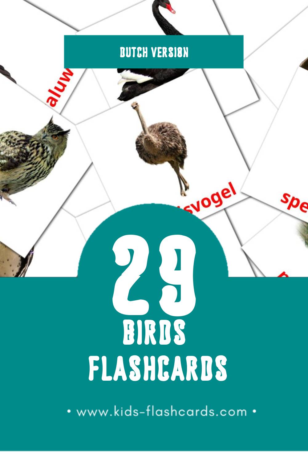Visual Vogels Flashcards for Toddlers (29 cards in Dutch)