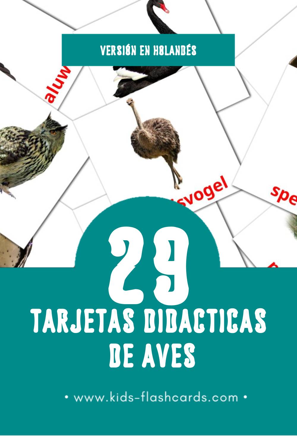 Tarjetas visuales de Vogels para niños pequeños (29 tarjetas en Holandés)