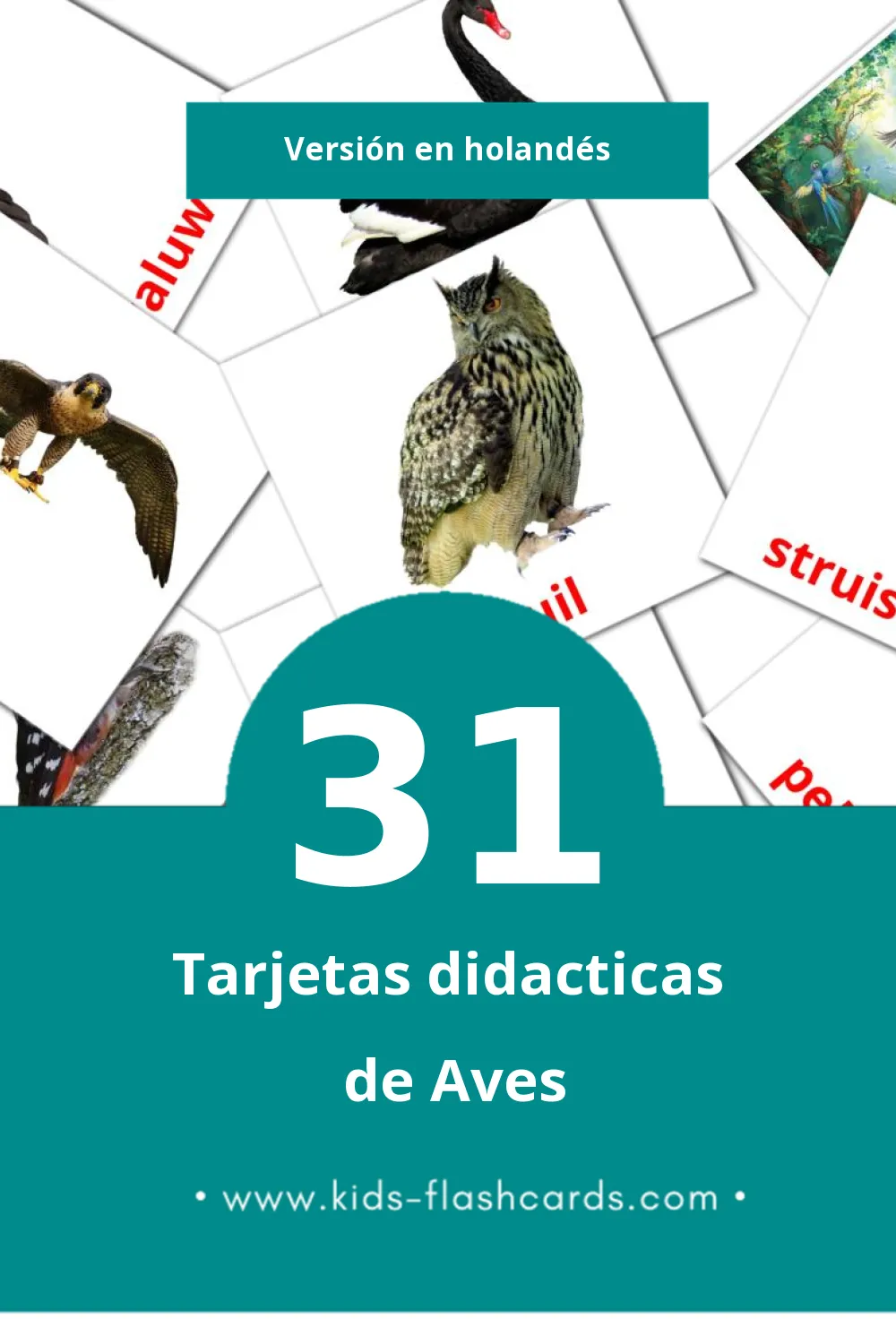 Tarjetas visuales de Vogels para niños pequeños (31 tarjetas en Holandés)