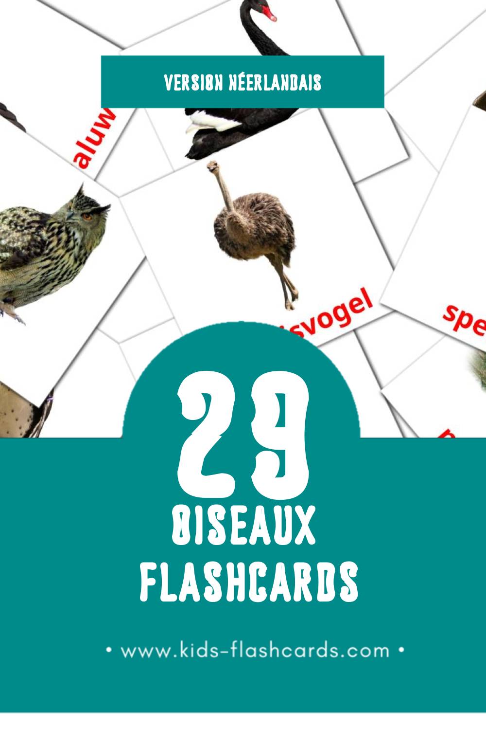 Flashcards Visual Vogels pour les tout-petits (29 cartes en Néerlandais)