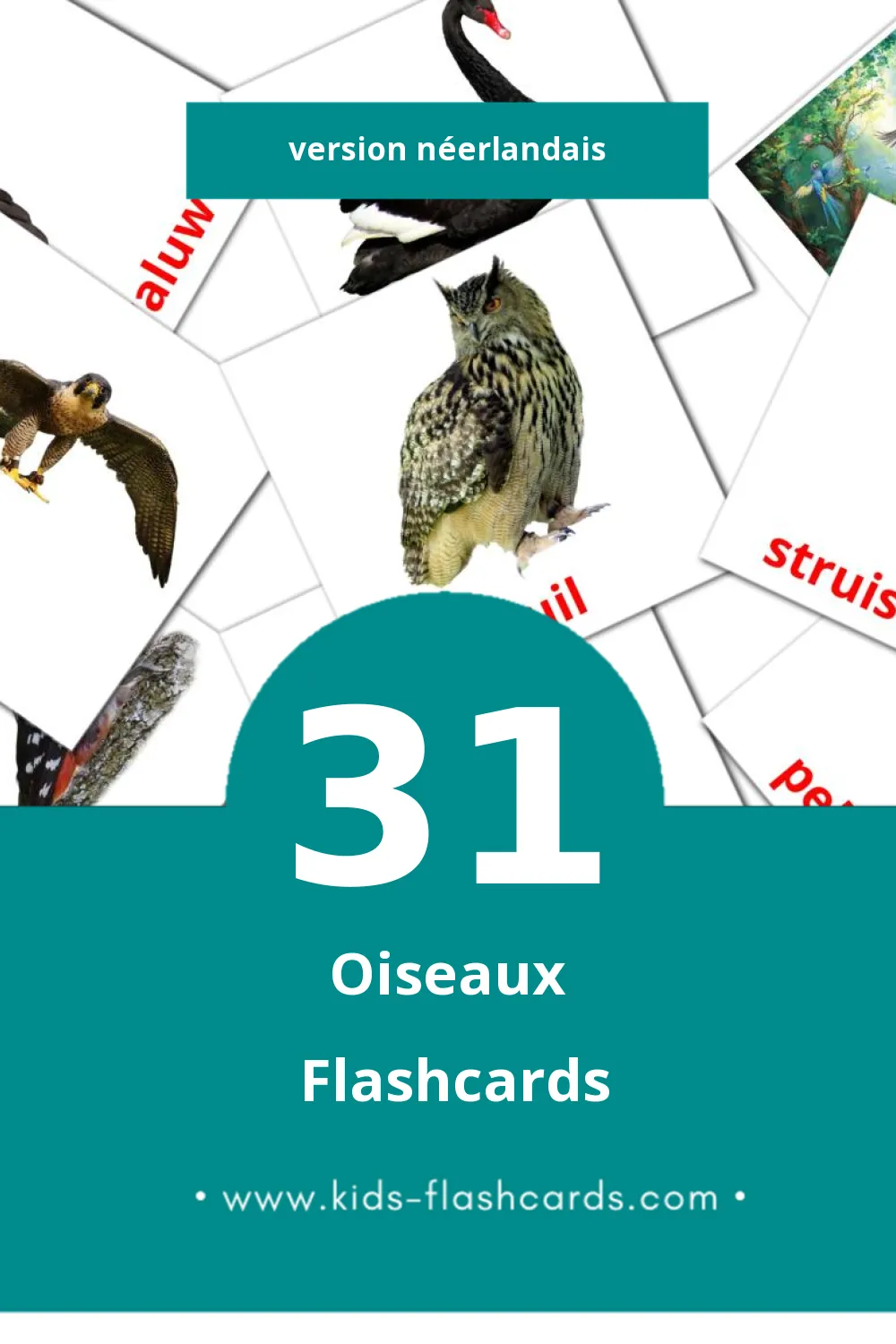 Flashcards Visual Vogels pour les tout-petits (31 cartes en Néerlandais)