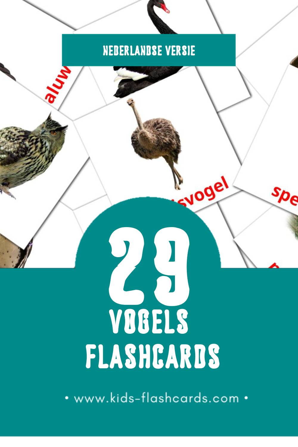 Visuele Vogels Flashcards voor Kleuters (29 kaarten in het Nederlands)