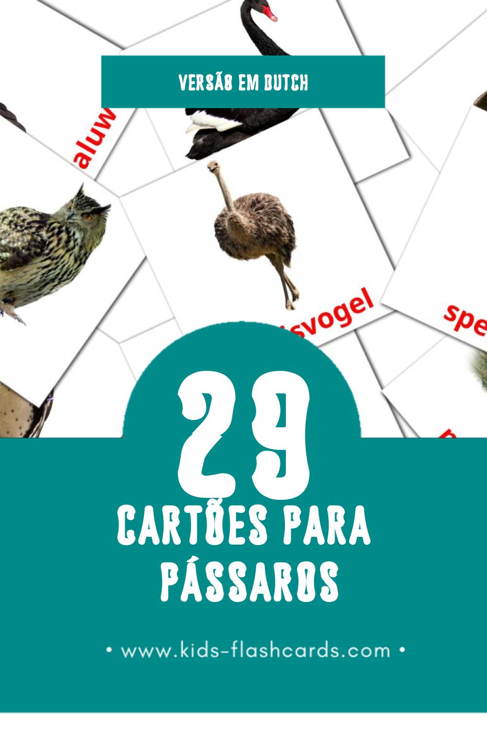 Flashcards de Vogels Visuais para Toddlers (29 cartões em Dutch)