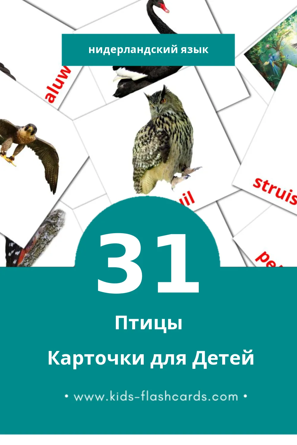 "Vogels" - Визуальный Нидерландcком Словарь для Малышей (31 картинок)