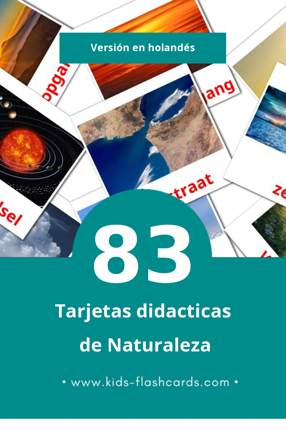 Tarjetas visuales de Natuur para niños pequeños (83 tarjetas en Holandés)