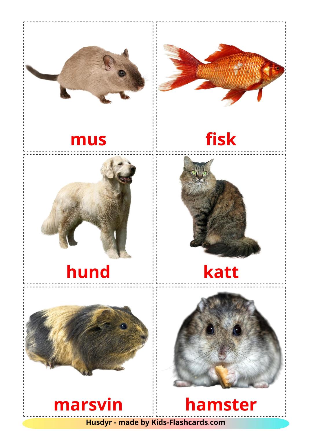 Les animaux Domestiques - 10 Flashcards norvégien imprimables gratuitement