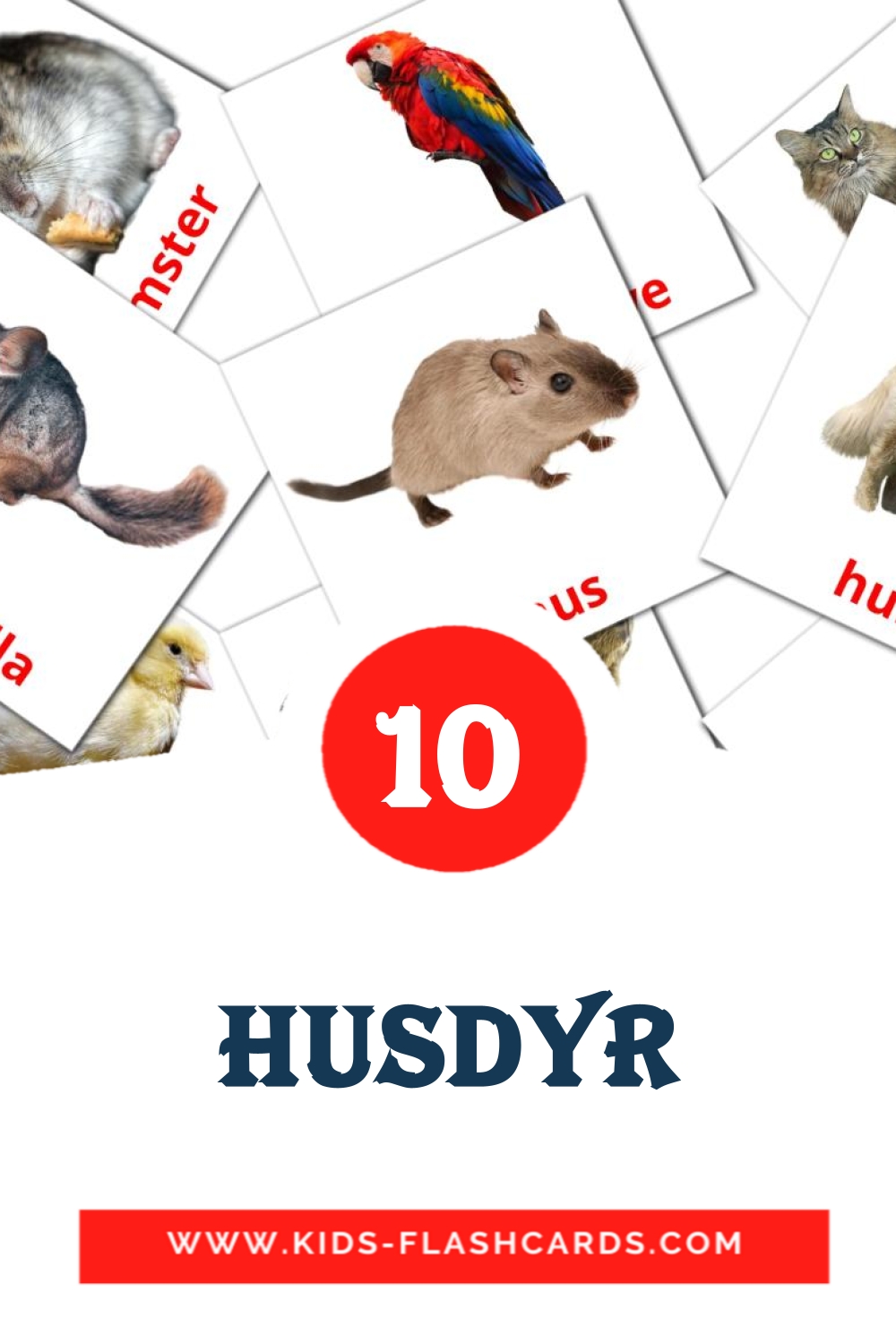 10 Husdyr Picture Cards for Kindergarden in norwegian