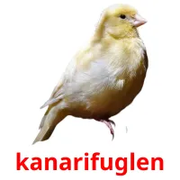 kanarifuglen ansichtkaarten