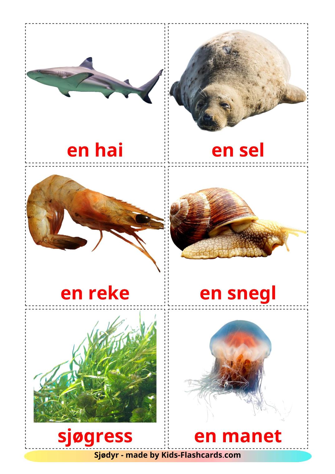 Animali marini - 29 flashcards norvegese stampabili gratuitamente