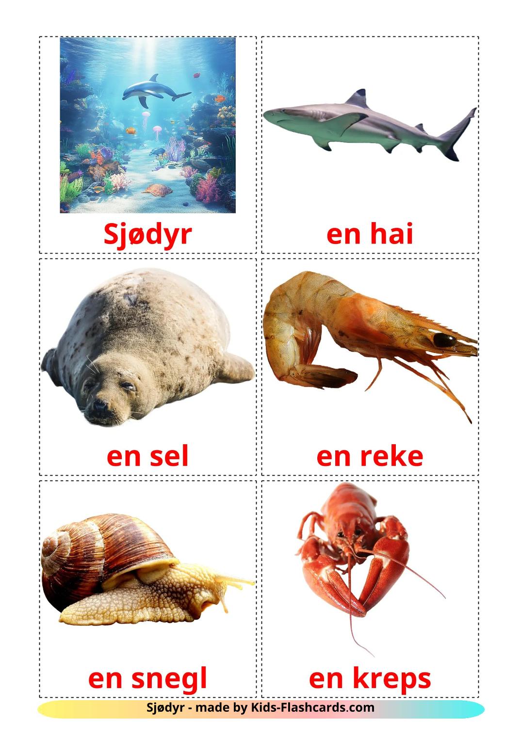 Animais Marinhos - 30 Flashcards norueguêses gratuitos para impressão