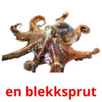en blekksprut flashcards illustrate