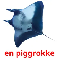 en piggrokke cartões com imagens