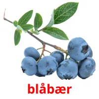 blåbær cartões com imagens