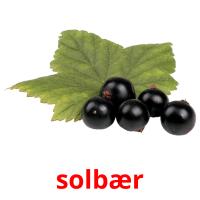 solbær picture flashcards