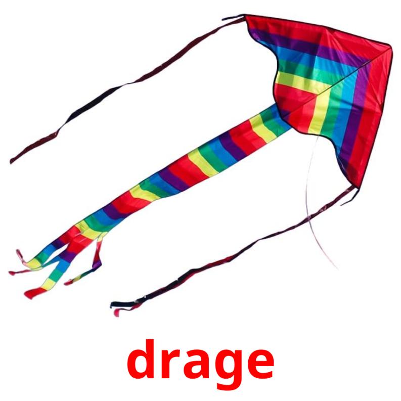 drage picture flashcards