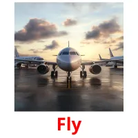 Fly picture flashcards