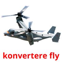 konvertere fly picture flashcards