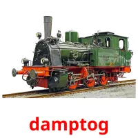 damptog picture flashcards