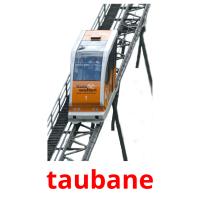 taubane flashcards illustrate