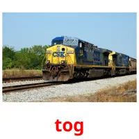 tog picture flashcards