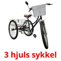 3 hjuls sykkel Tarjetas didacticas
