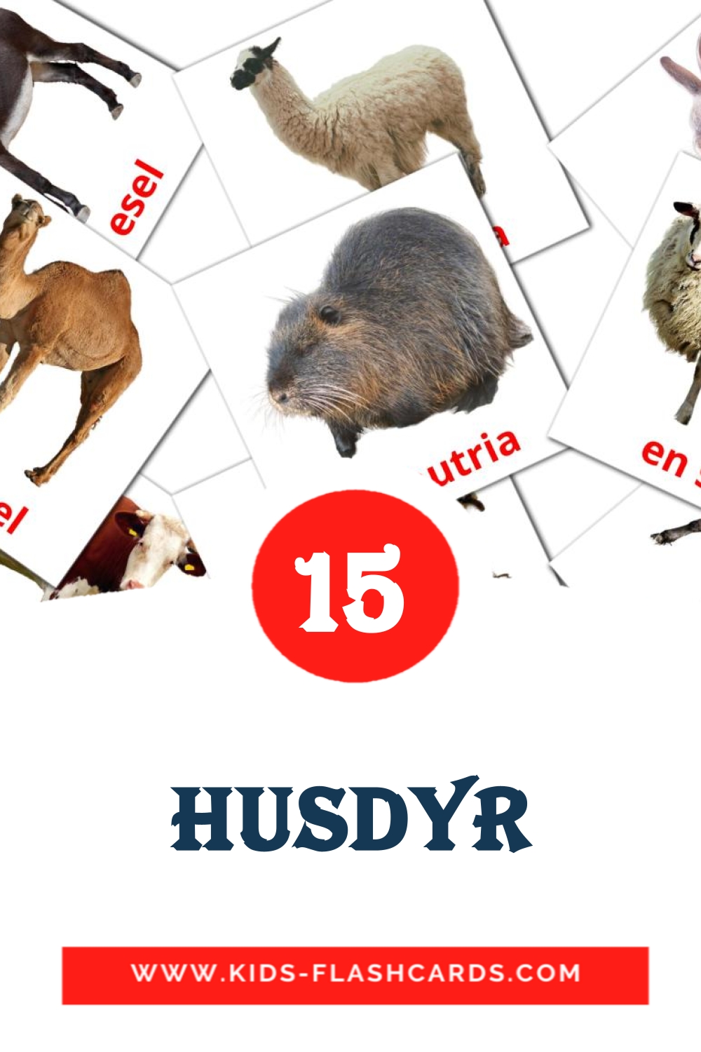 15 husdyr Picture Cards for Kindergarden in norwegian