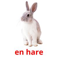 en hare picture flashcards