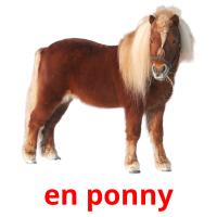 en ponny picture flashcards