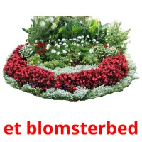 et blomsterbed cartões com imagens