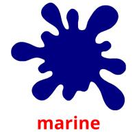 marine picture flashcards