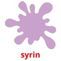 syrin picture flashcards