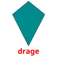 drage picture flashcards