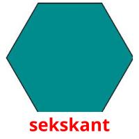 sekskant picture flashcards