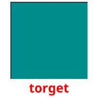 torget picture flashcards