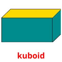 kuboid picture flashcards