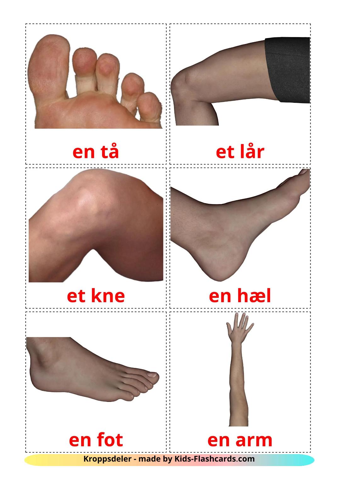 Partes do Corpo - 26 Flashcards norueguêses gratuitos para impressão