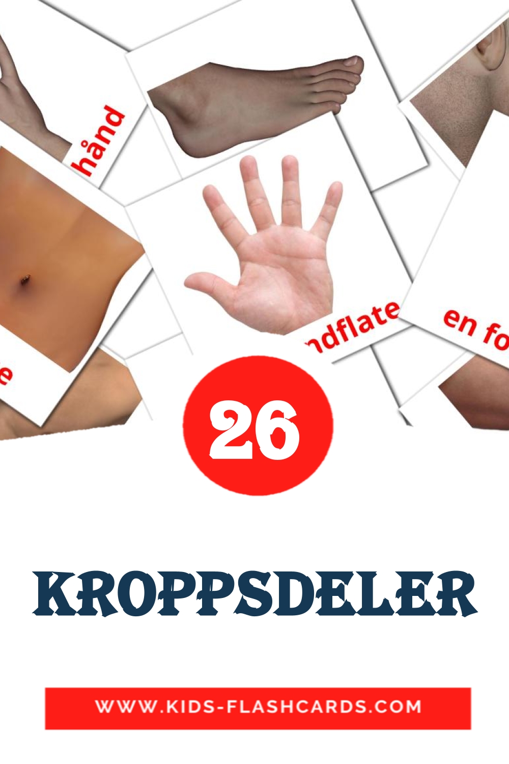 26 cartes illustrées de Kroppsdeler pour la maternelle en norvégien