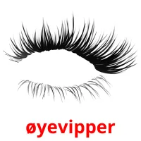 øyevipper карточки энциклопедических знаний