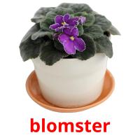 blomster card for translate