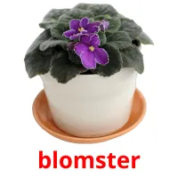 blomster Bildkarteikarten