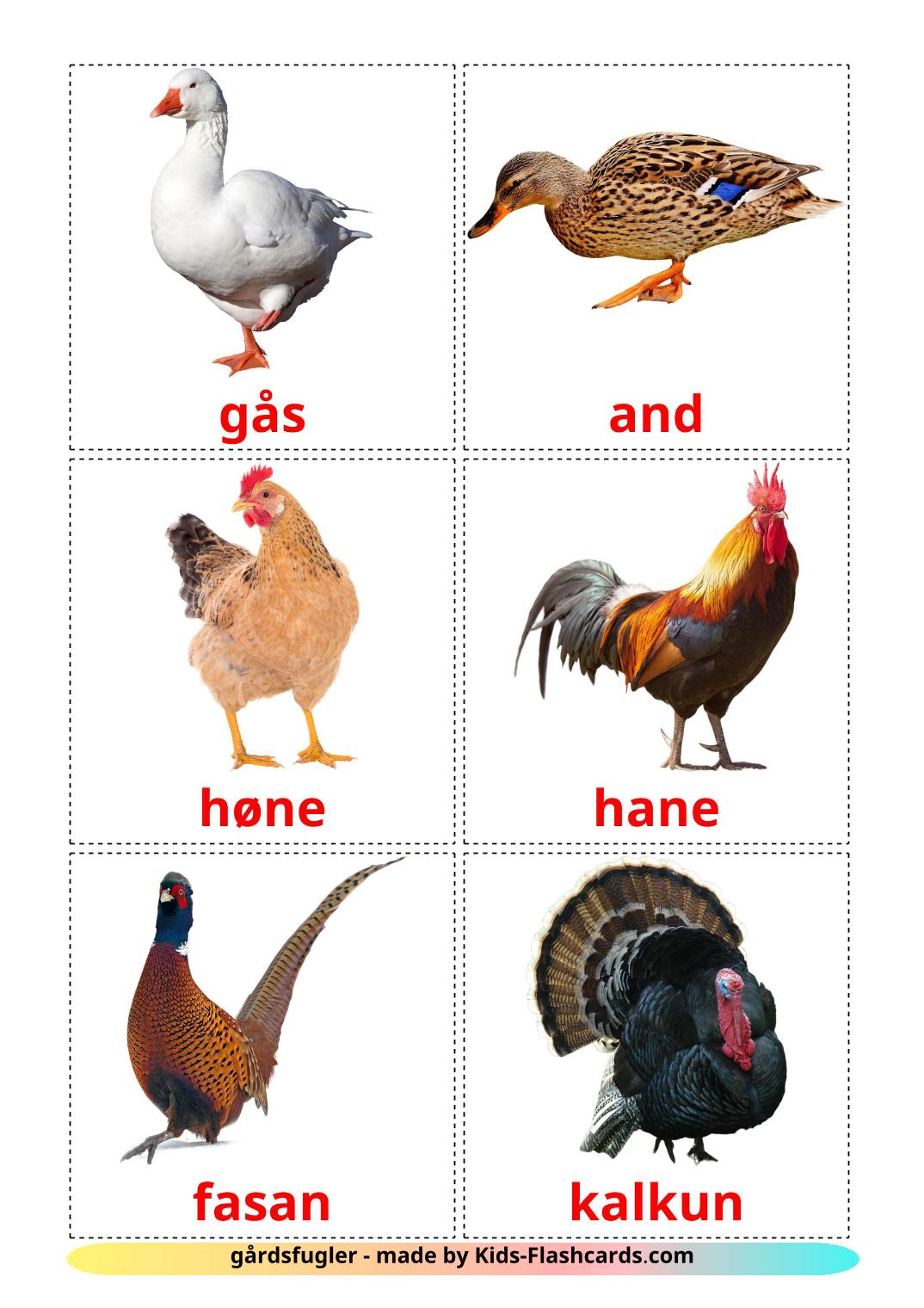 Uccelli di fattoria - 11 flashcards norvegese stampabili gratuitamente